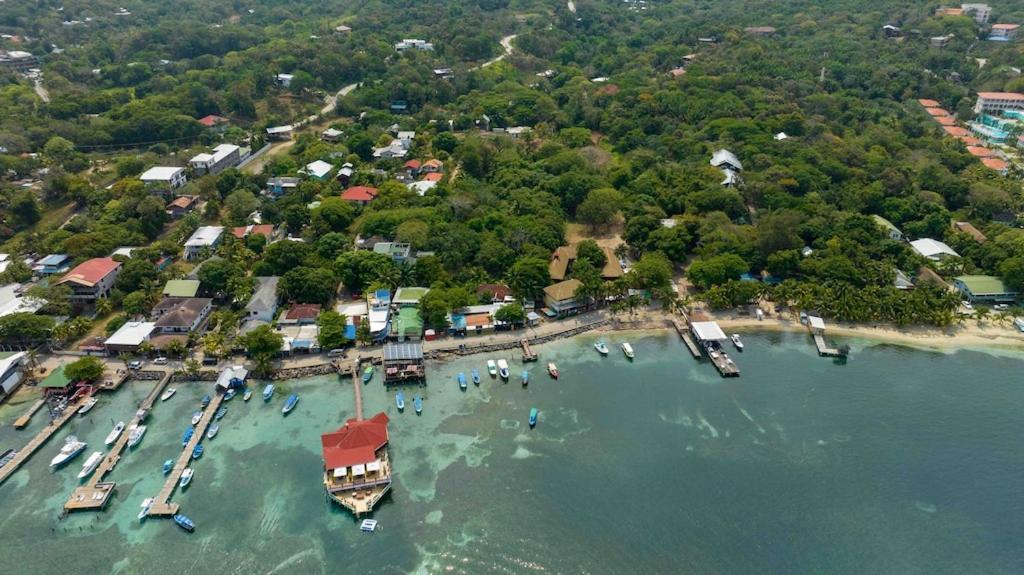 Cozy Beach Villa At The Shores 5 Minutes From The Beach เวสต์เอนด์ ภายนอก รูปภาพ
